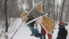 Winterwanderung